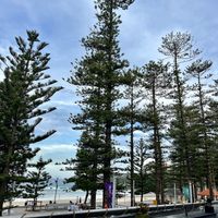 The view  at Manly Thai Gourmet in Manly