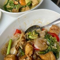 Gourmet noodles and green curry with tofu  at Manly Thai Gourmet in Manly