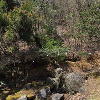  at VeganLife SoiSoi in Kyoto