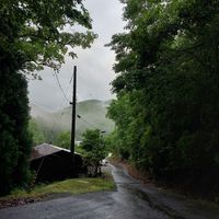  at VeganLife SoiSoi in Kyoto