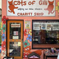 The shop front  at Kafe Kuching - Cats of Gili in 