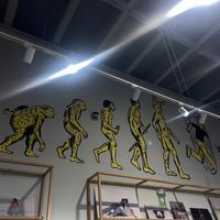  at Cafė Mattelsa in Medellin