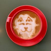   at Valiente Café in Bogota