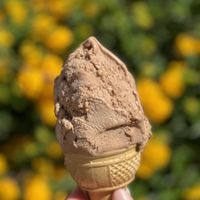 Vegan Gianduia   at Gelateria Del Porto in Portoscuso