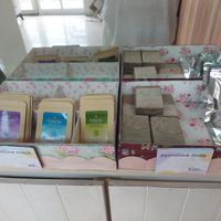 Spirulina products at Boonsom Farm Store in Chiang Mai