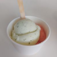 Watermelon & lemon basil at Lourens in Amsterdam