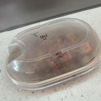 Container not recyclable   at Moe's Southwest Grill in Dallas