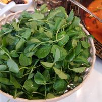 pea shoots at Spice World Hot Pot Melbourne in Melbourne