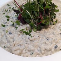 Truffle Risotto  at Gordon Ramsay Hell's Kitchen in Washington