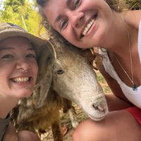 Woody the sheep!  at Soulscape Café in Koh Phangan