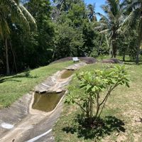   at Soulscape Café in Koh Phangan