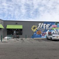 View from the parking lot    at Abundance Cooperative Market in Rochester