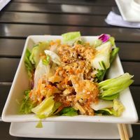 Ginger salad at Sushi Rock Grill in St Petersburg