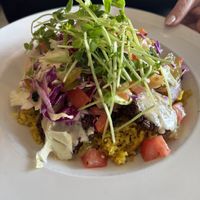 Falafel Bowl  at Pita Jungle - Arcadia in Phoenix
