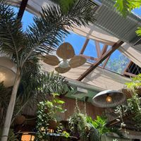   at Botanikafé in Sao Paulo