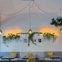   at Lin's Veggie Dumplin' in Vienna