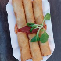 Spring rolls at Lin's Veggie Dumplin' in Vienna