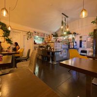  at Lin's Veggie Dumplin' in Vienna