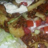 Vegan kapsalon at Burgertrut in Rotterdam