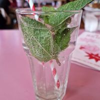 Homemade Lemonade Mint & Lemon at Burgertrut in Rotterdam