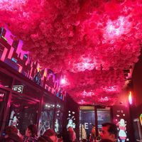  at Neon Ramen  in Everton Park