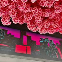   at Neon Ramen  in Everton Park