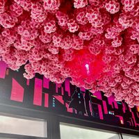   at Neon Ramen  in Everton Park