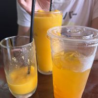   at Neon Ramen  in Everton Park