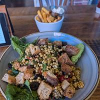 Vegan food at the Forum at Forum Kitchen + Bar in Sheffield