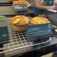 Vegan muffin    at Starbucks in Hakodate