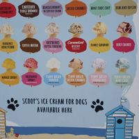 Available favours of which 6 vegan. at Canoe Lake Cafe in Southsea