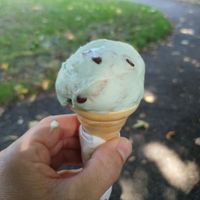 Mint choc at Canoe Lake Cafe in Southsea