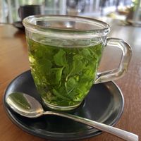 Fresh mint tea  at Stay Human by Soulshine  in Gianyar