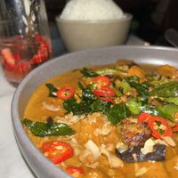 Vegan curry  at Lotus in Highgate