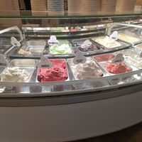 9 Sorten veganes Eis at Eiscafé St. Bernhard in Dreieich