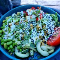 Vegan bowl at Van Houten Strandbar in Breskens
