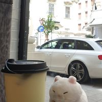 Matcha Oat latte with a view at TEEAMO Vienna in Vienna