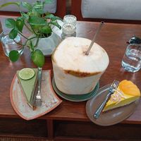 Fresh coconut at Backyard Coffee in Phnom Penh