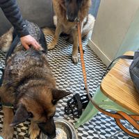   at O Melhor Croissant da Minha Rua in Fuengirola