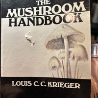   at Third Kingdom in New York City