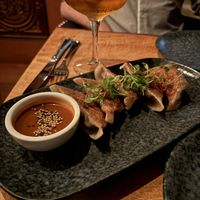 Good but salty dumplings  at Third Kingdom in New York City