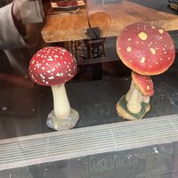   at Third Kingdom in New York City