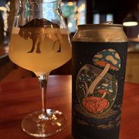 Their mushroom beer: must try  at Third Kingdom in New York City
