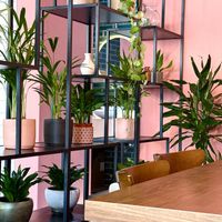   at Dobro Top Vegan   in Dubai