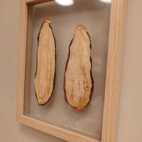 Dried aubergine at Salad&Co in Lille