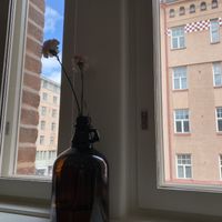 Interior  at Ravintola Lohtu in Helsinki