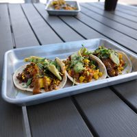 Vegan breakfast tacos  at Cool River in Buena Vista