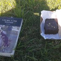 Buckwheat sweet potato chocolate cake and a good read (excuse me for the poor quality of the photo) at Franca in Montevideo