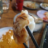 Vegetable dumplings at Dumpling Land in Wallsend