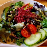  at Velo Landau in Landau